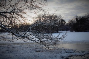1. vinterdag i Utterslev mose
